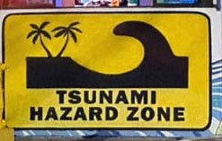 Buy Tsunami Club and Restaurant